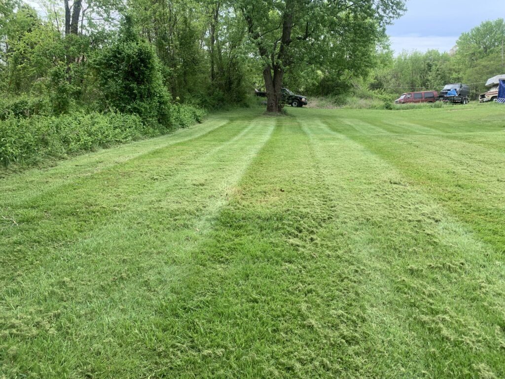 Striped lawn under trees after a cut by Martin's Property Solutions